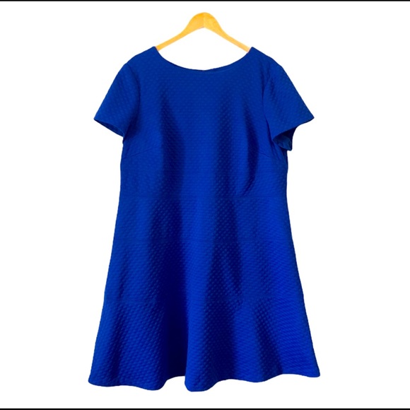 Eliza J Cap sleeve textured scuba dress size 18W
